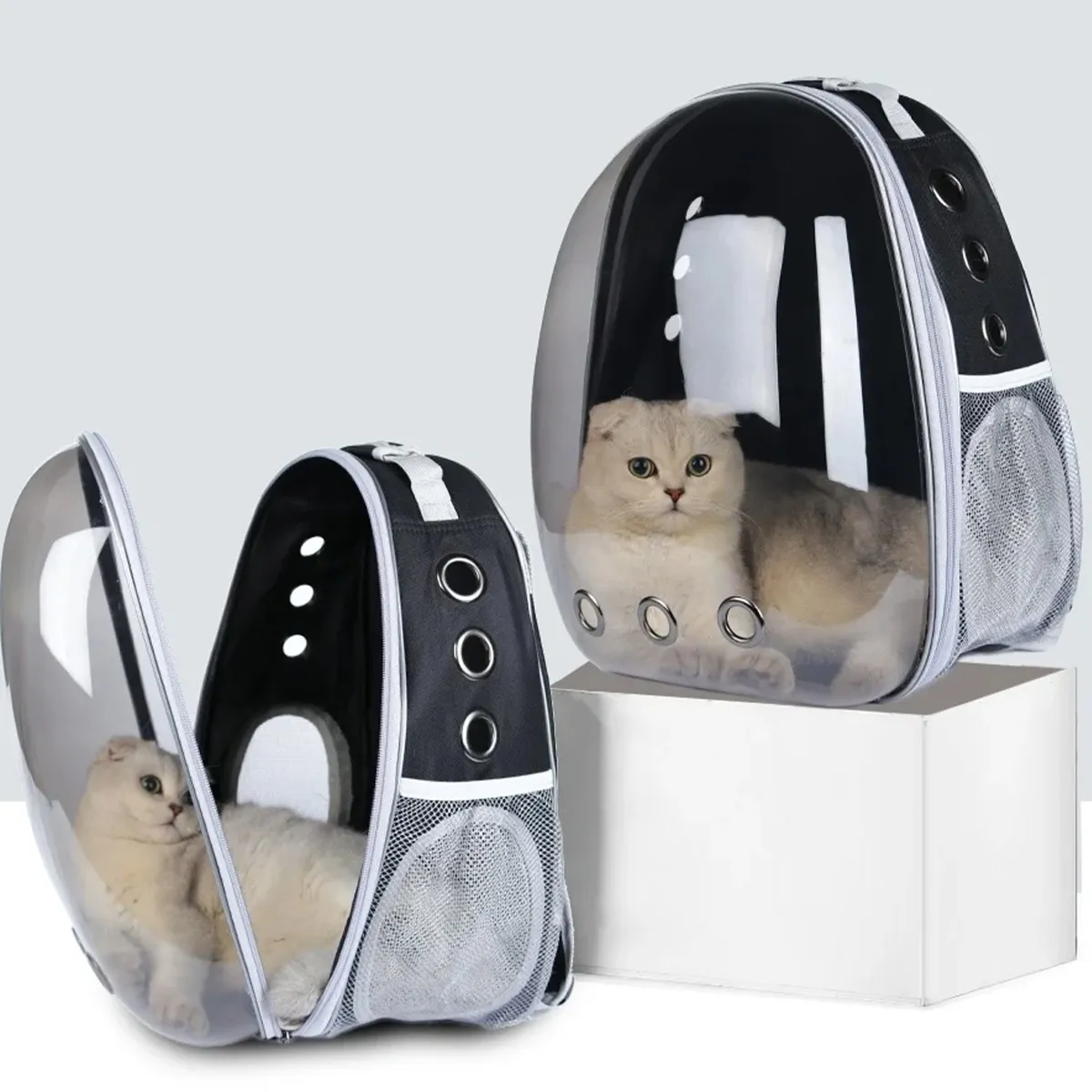 mochila animais gatos caesd