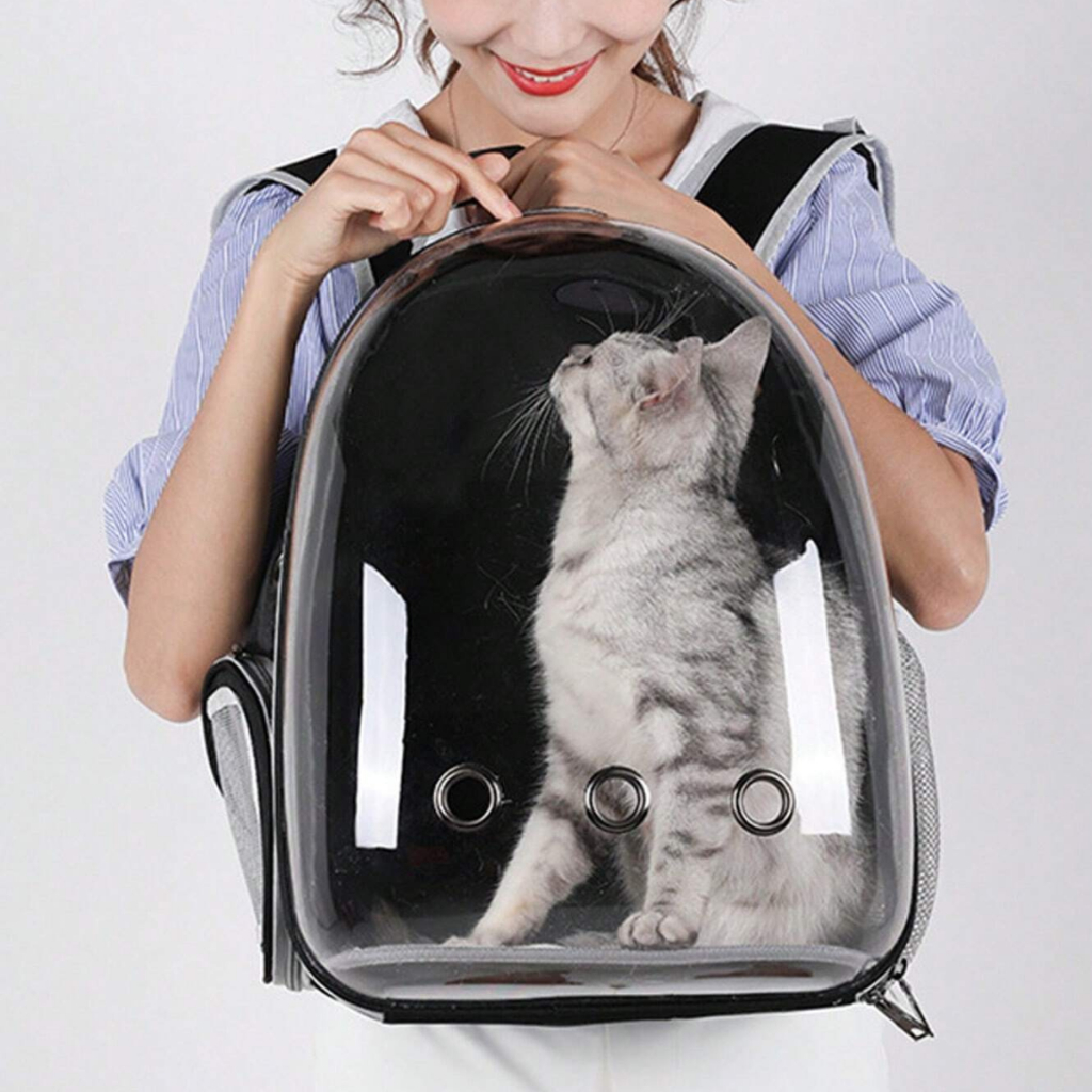 mochila animal gato cão hamster 12d